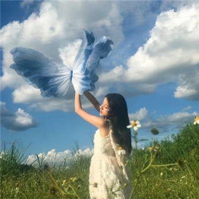 木兰花